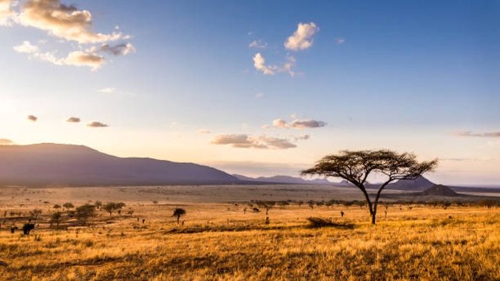 Support Tom's Mission Trip to Kenya 2026 campaign photo, 1 of 5