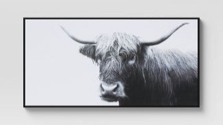 Fundraiser by Room FourEleven : i want to buy multiple photos of a yak from  target
