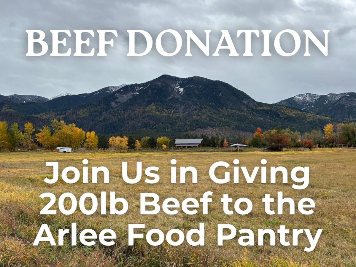 Fundraiser’s main image