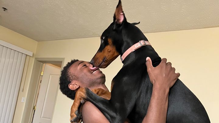 Help Dakota the Doberman Puppy Heal campaign photo, 1 of 8