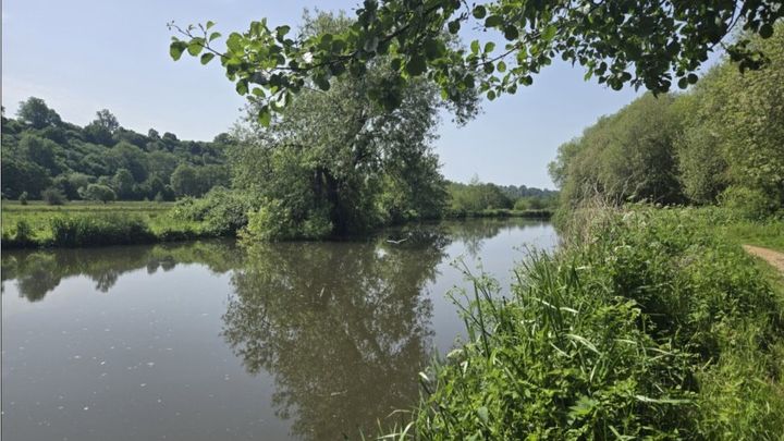 River Wey Charity Walk 19-07-2026 campaign photo, 1 of 3