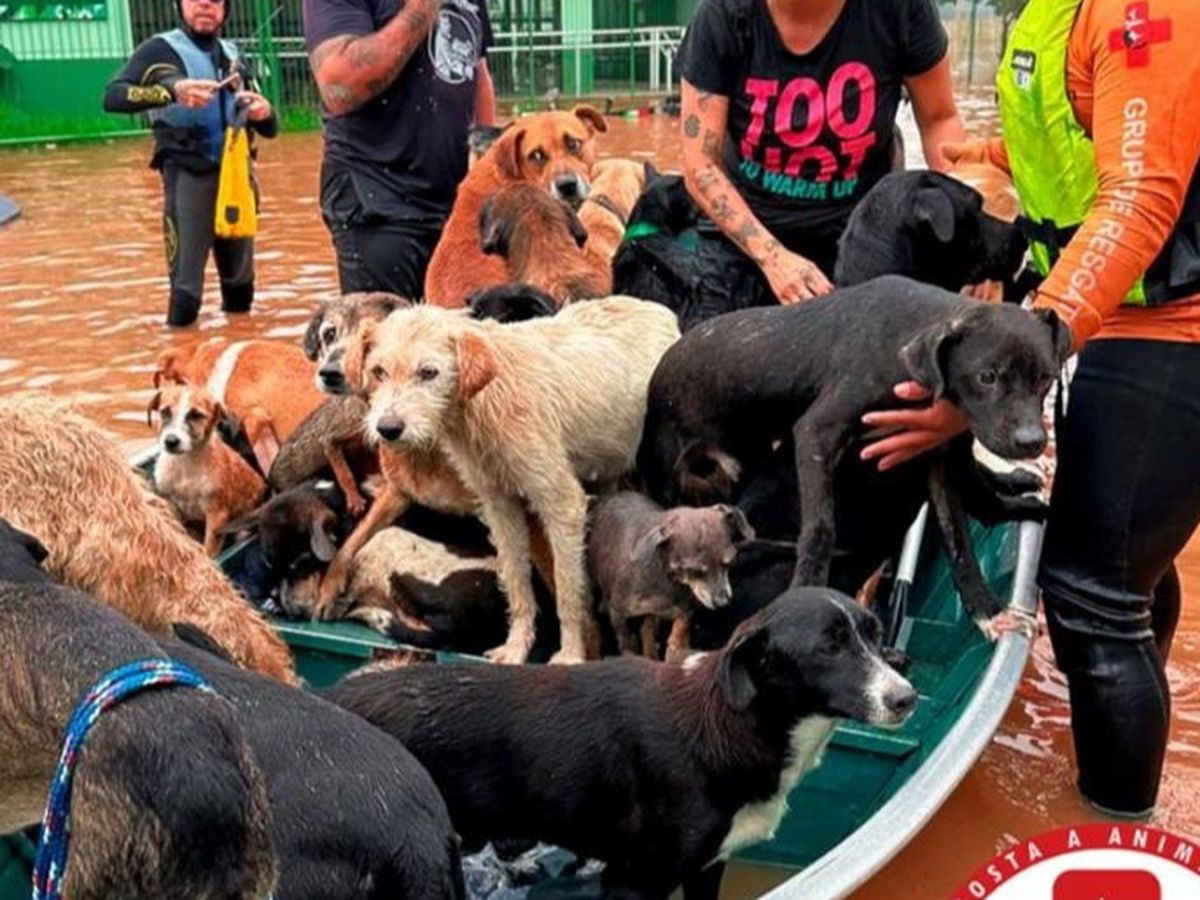 Hoofdafbeelding van de inzamelingsactie