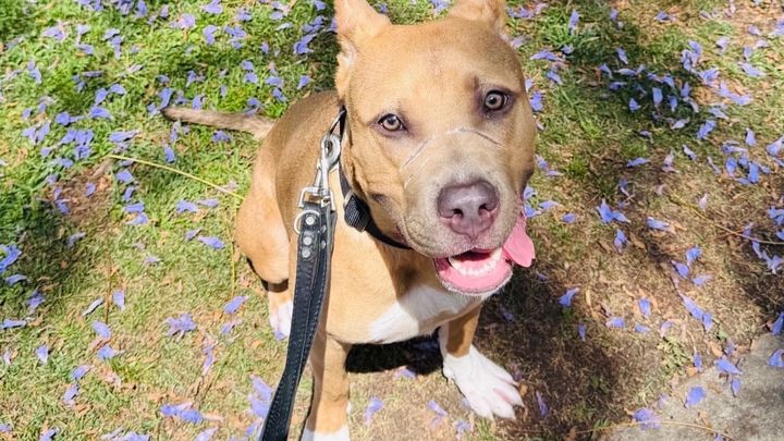 Give Oden the Second Chance He Deserves campaign photo, 1 of 6