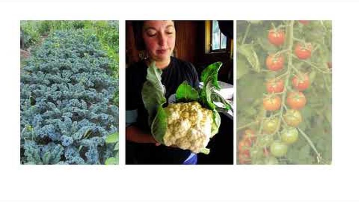 Help the Finney Farm Seed Distro! video thumbnail, 1 of 2