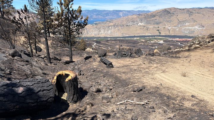 Help Chris Urner after Wildfire Loss