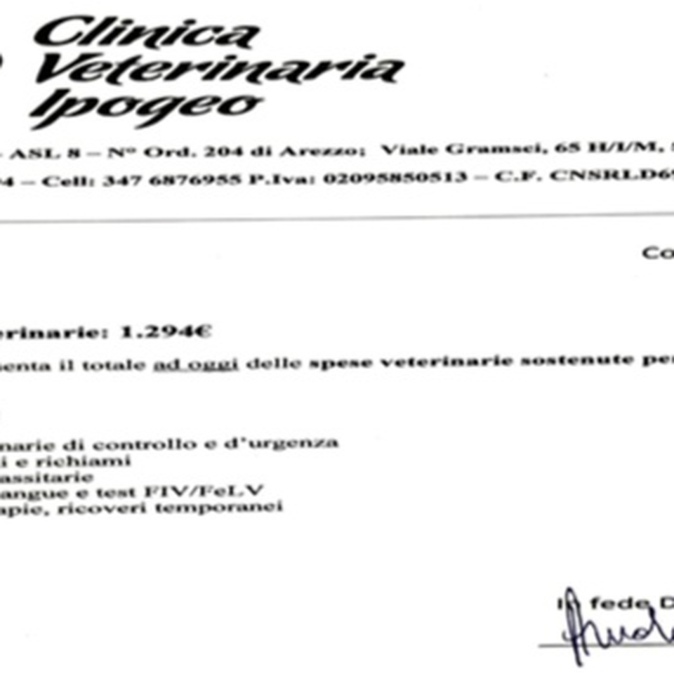 Aiutaci a saldare il debito veterinario