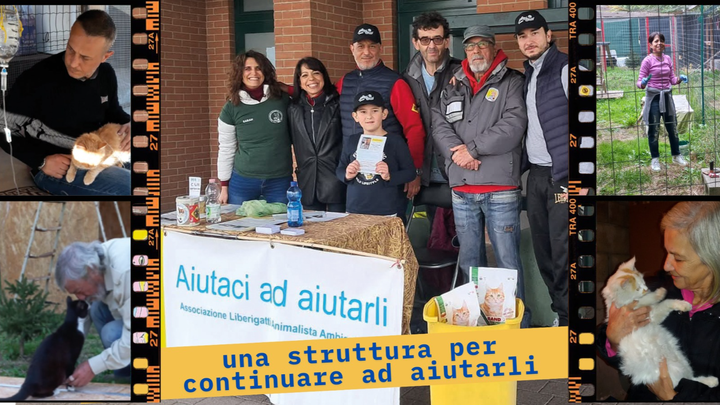 Foto principale della raccolta fondi