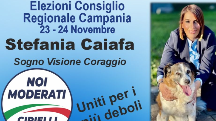 Candidatura in regione Campania per gli animali campaign photo, 1 of 6