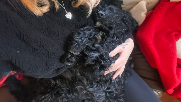 Help save Pennys leg campaign photo, 1 of 4
