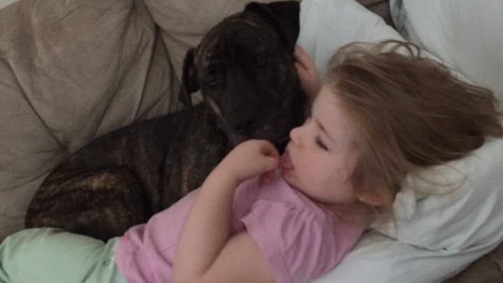 Main fundraiser photo