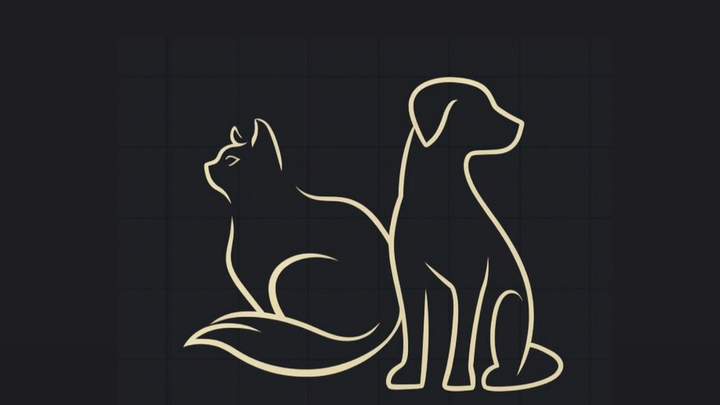 Support Lucky Cat and Dog rescue Mission campaign photo, 1 of 3