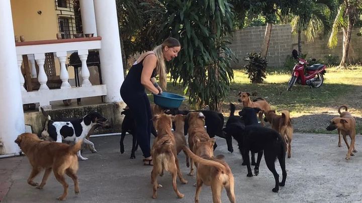 URGENT - HELP US BUILD A SAFE SPACE FOR THE RESCUE ANIMALS campaign photo, 1 of 3