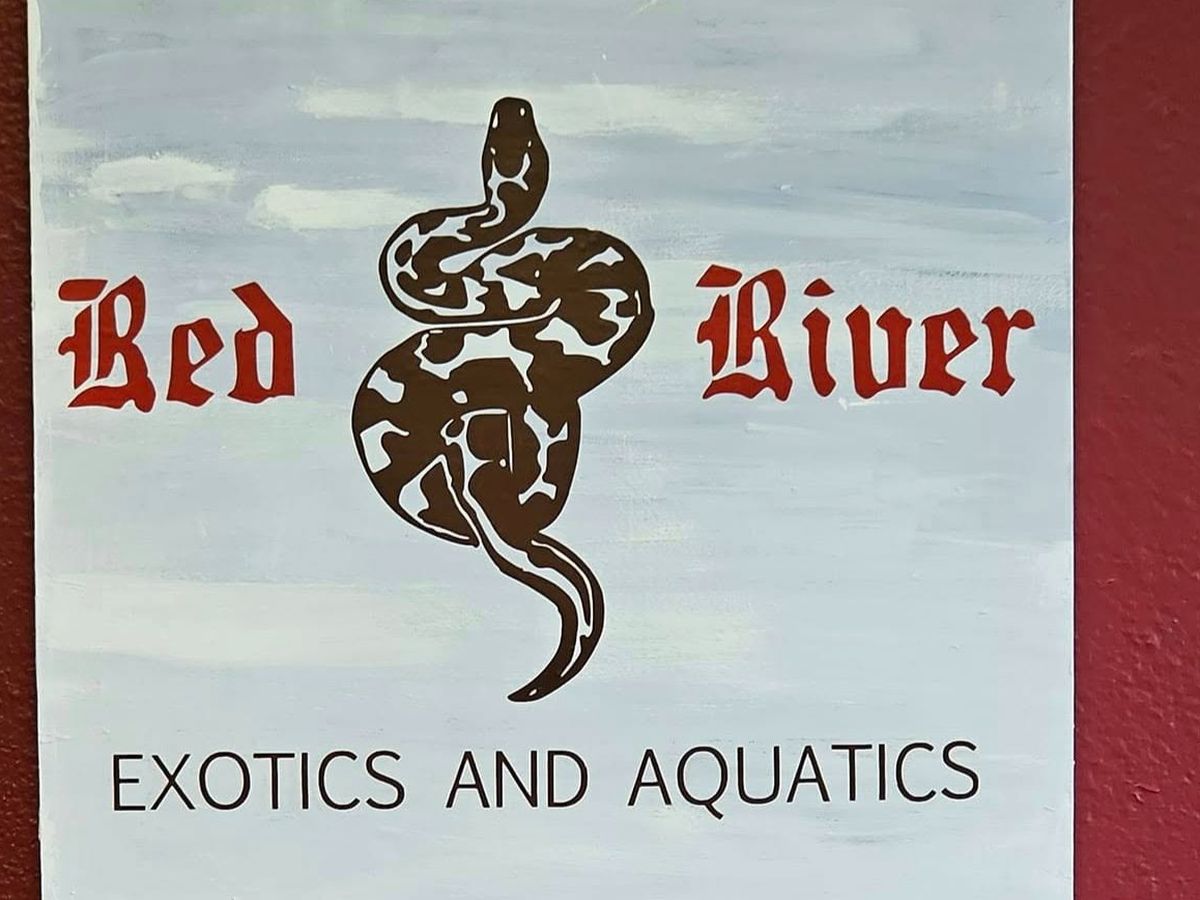 Fundraiser’s main image