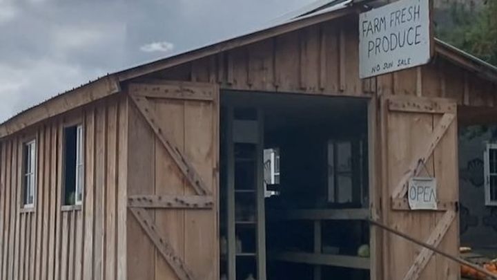 Amish family fund for accident expenses campaign photo, 1 of 3