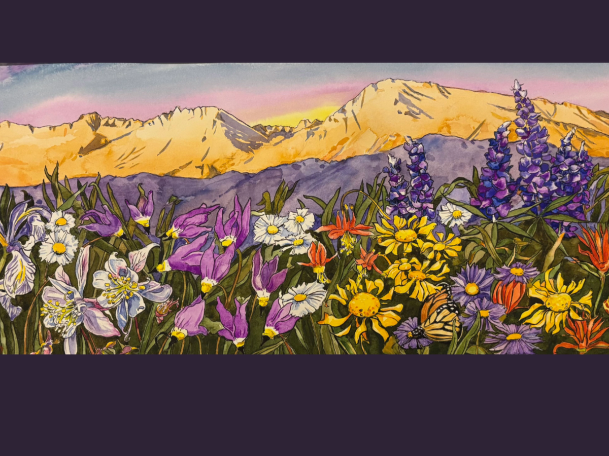 Fundraiser’s main image
