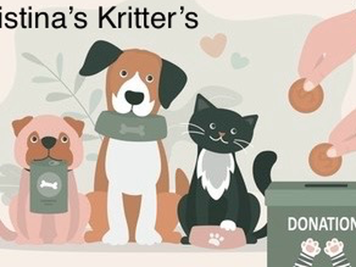 Fundraiser’s main image