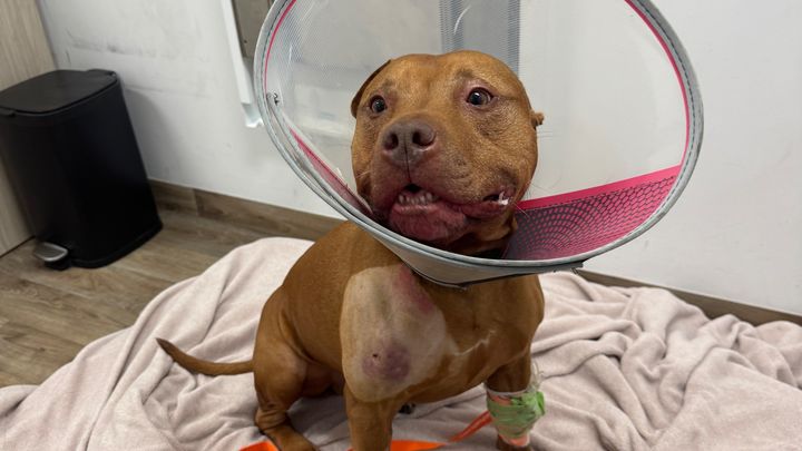 Help relief medical bills for Stu's family campaign photo, 1 of 3