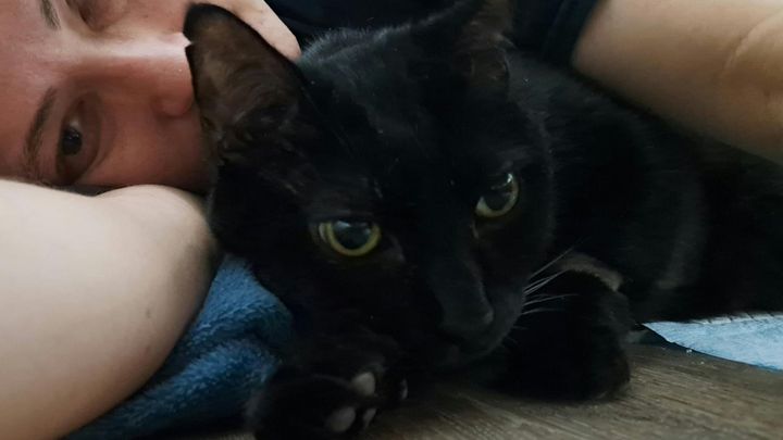 Help My Cat Get Life-Saving Radiation Treatment campaign photo, 1 of 8