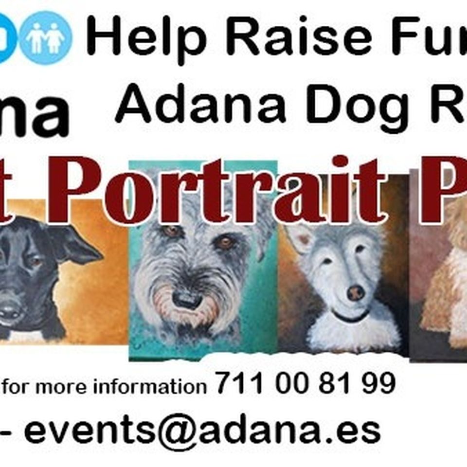 Fundraiser By Antony Johnson Help Needed For Adana Dog Rescue Shelter