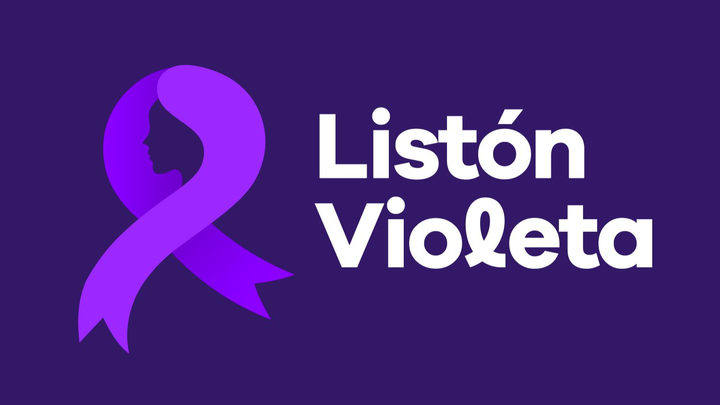 Recaudación de Fondos para Constituir "Listón Violeta" A.C. campaign photo, 1 of 3