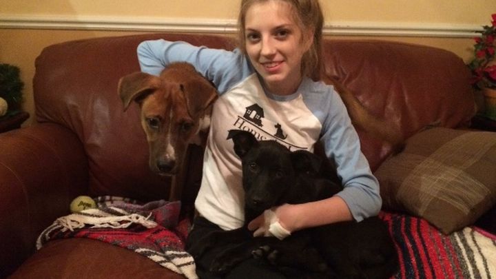 Main fundraiser photo