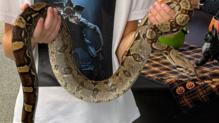 Support Barrett’s Reptile Learning Project campaign photo, 1 of 7