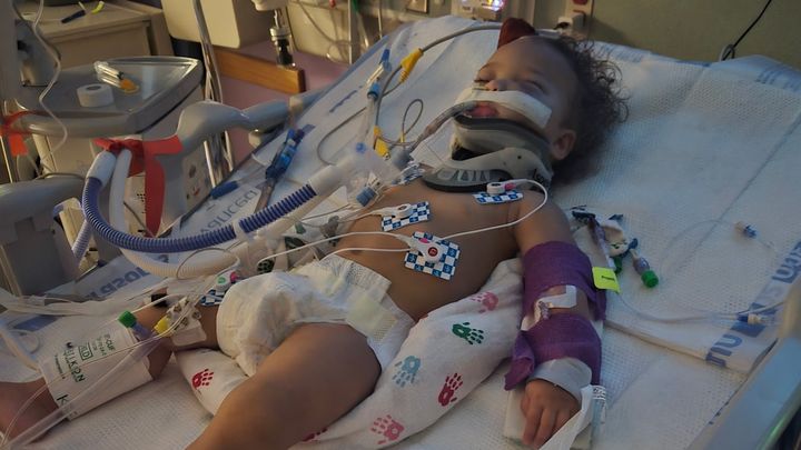 Help Scarlett & Ember Recover After Accident campaign photo, 1 of 6