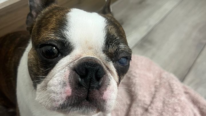 Help Harmony Get the Care She Needs ❤️ campaign photo, 1 of 8
