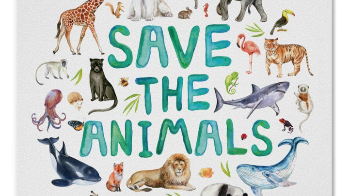 looking at helping as many animals as possible campaign photo, 1 of 3