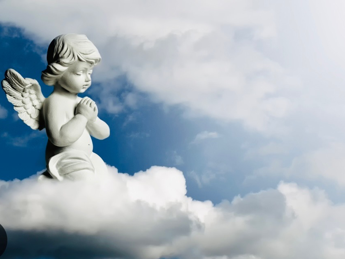 Fundraiser’s main image