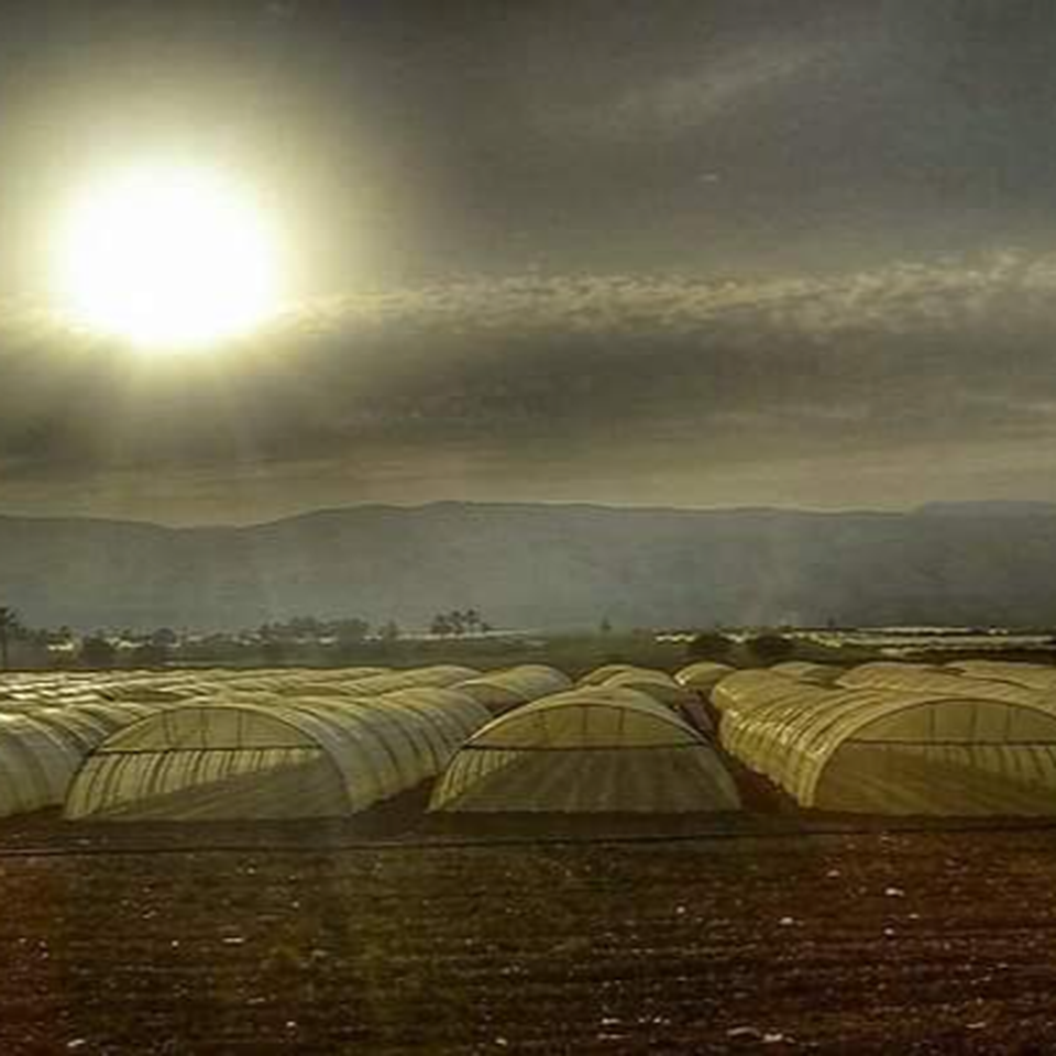 Support Jordanian Farmers: Keep Our Farm Alive