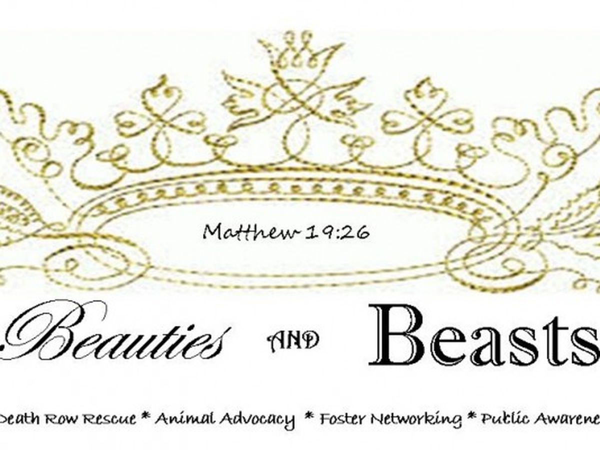 Fundraiser’s main image