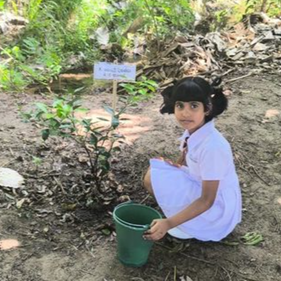 Support InMetta's Mission to Transform Lives