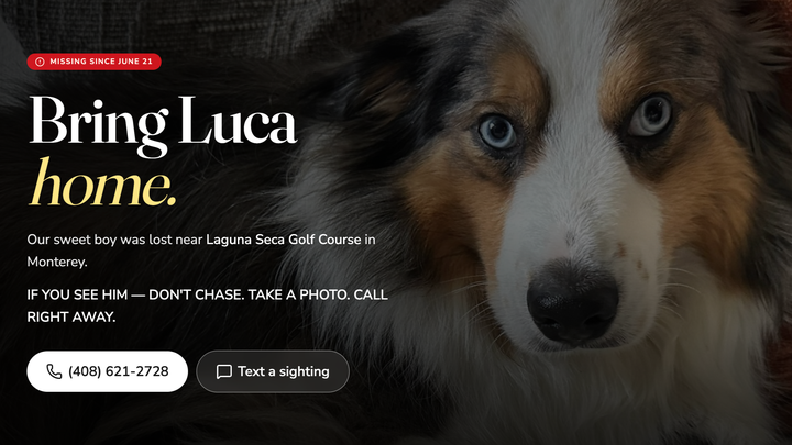 Bring Luca Home campaign photo, 1 of 8