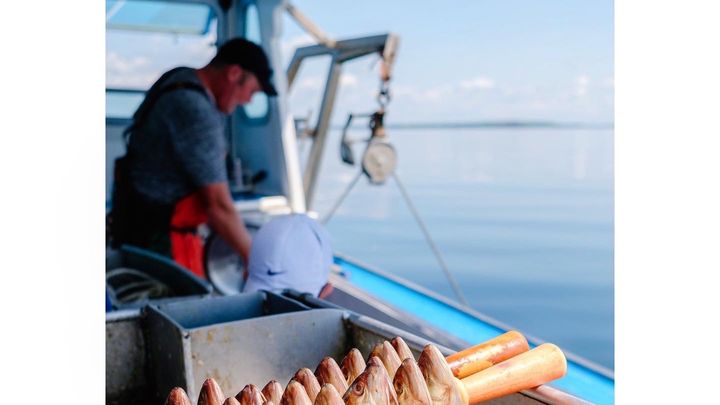 A Miracle for a Maine Lobsterman