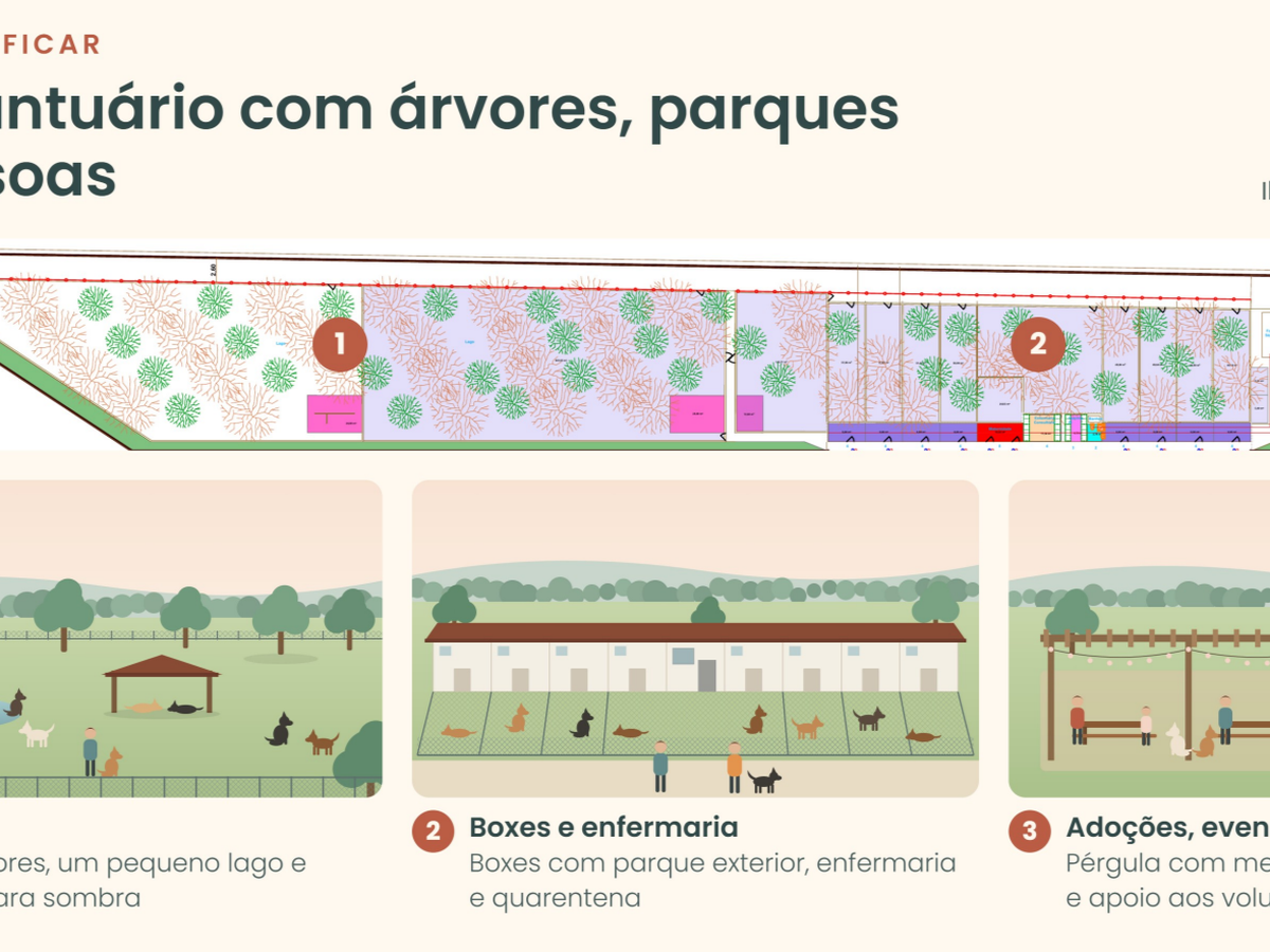 Imagen principal de la recaudación de fondos