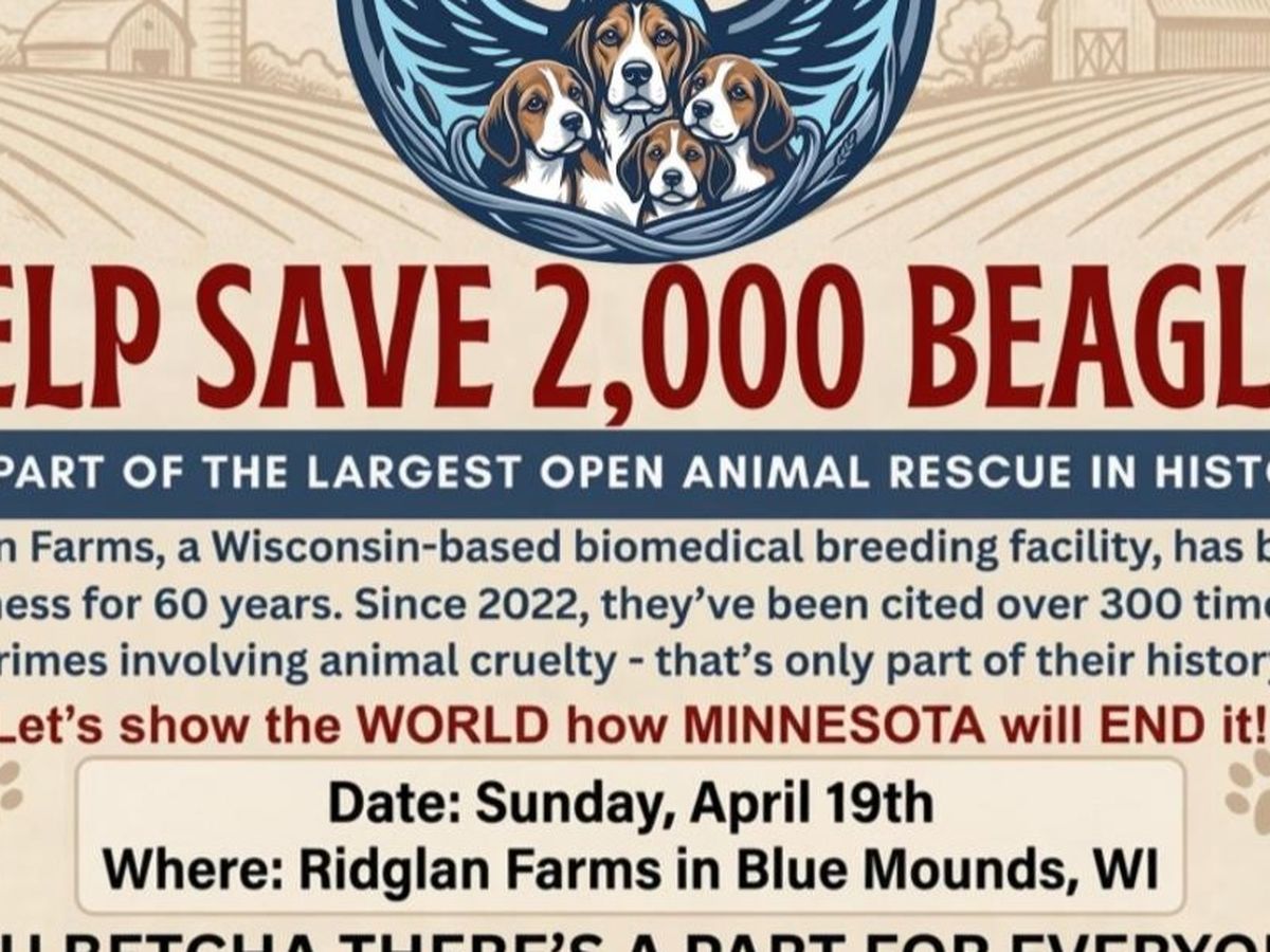 Fundraiser’s main image