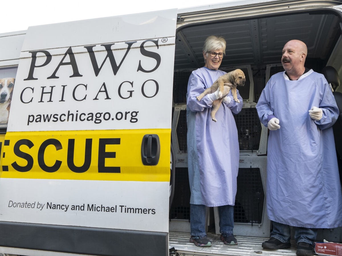 Support PAWS Chicago's Life-Saving Mission campaign photo, 1 of 8