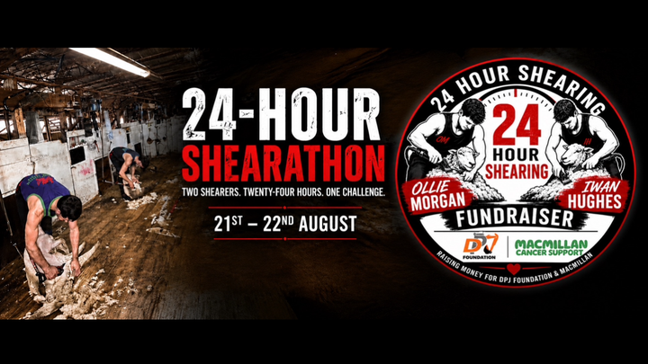 Charity 24-hour shearathon campaign photo, 1 of 3