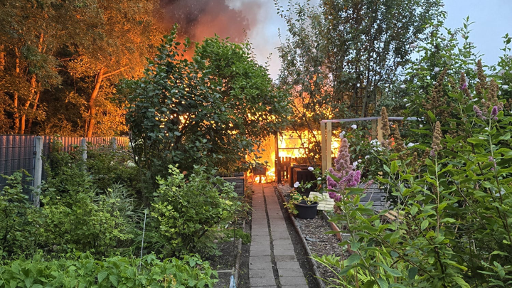 Wiederaufbau Garten campaign photo, 1 of 8