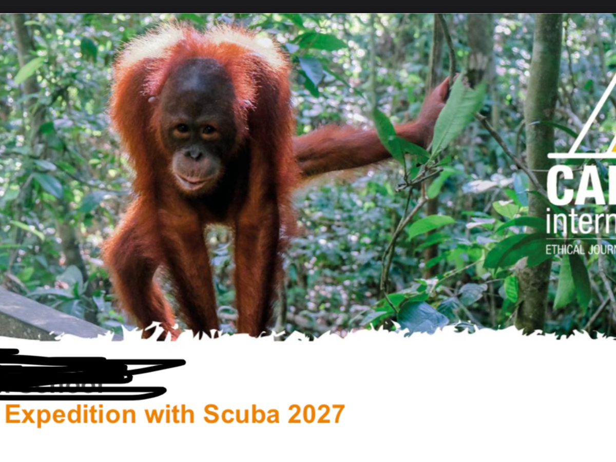 Fundraiser’s main image