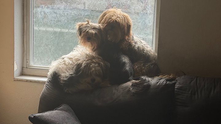Support Family of 4 and BabyJudge After House Fire campaign photo, 1 of 9