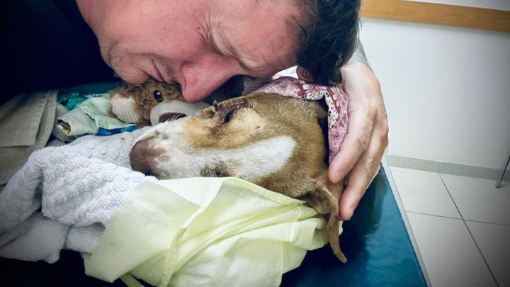 Support Emmett's Final Expenses campaign photo, 1 of 3