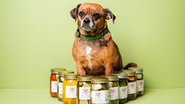 Main fundraiser photo