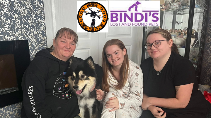 Stanley, the lost Finnish Lapphund campaign photo, 1 of 5