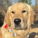Profile photo of Samantha King