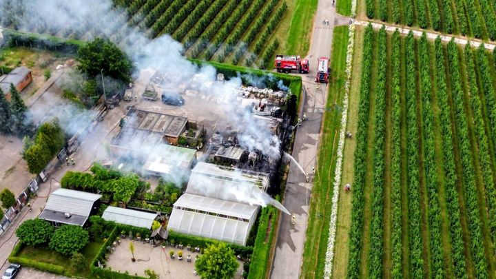 Help Hoveniersbedrijf van Frankenhuyzen na grote brand! campaign photo, 1 of 8
