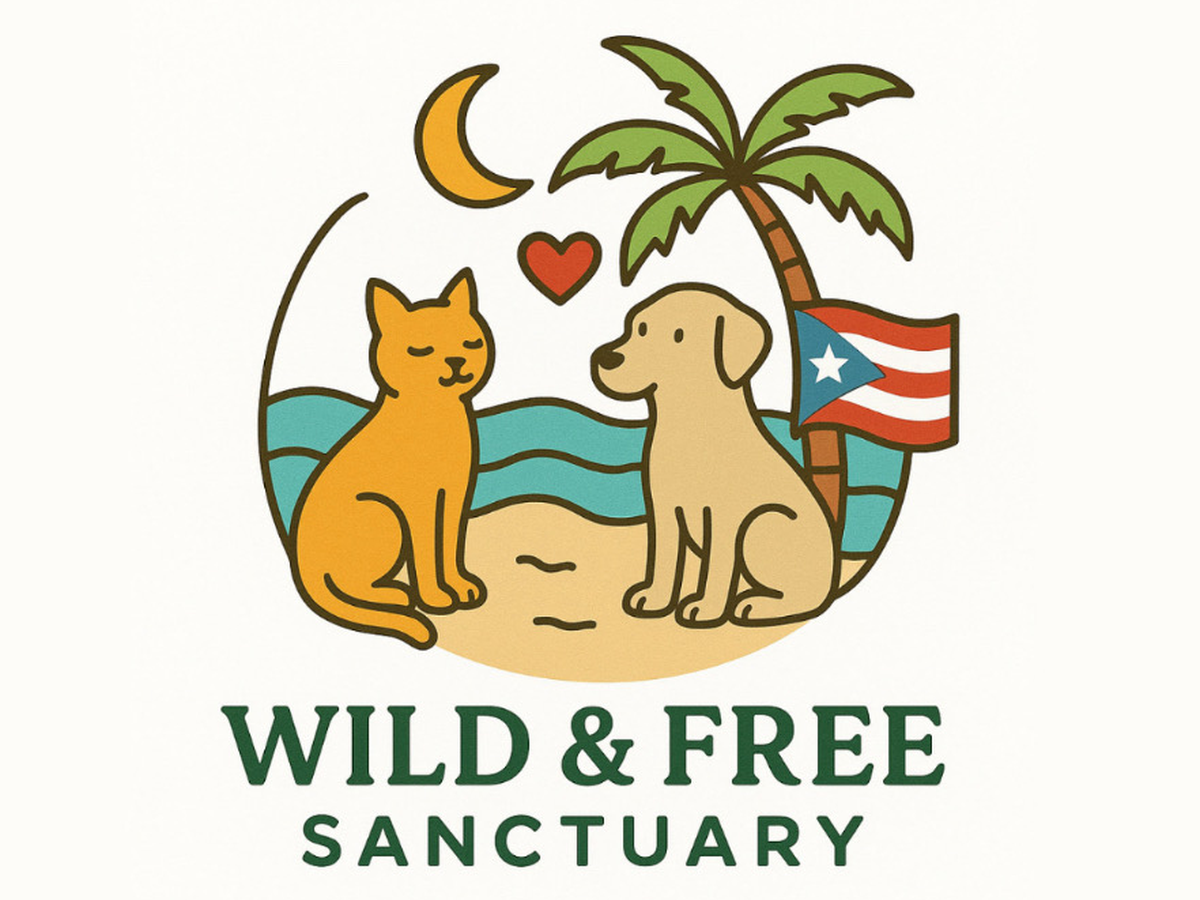 Fundraiser’s main image