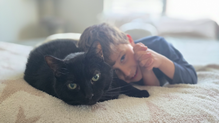 Help Us Save Crog, the Heart of Our Family campaign photo, 1 of 7