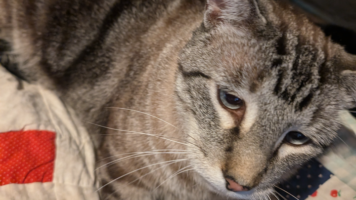Atreyu's Surgery Fund campaign photo, 1 of 7